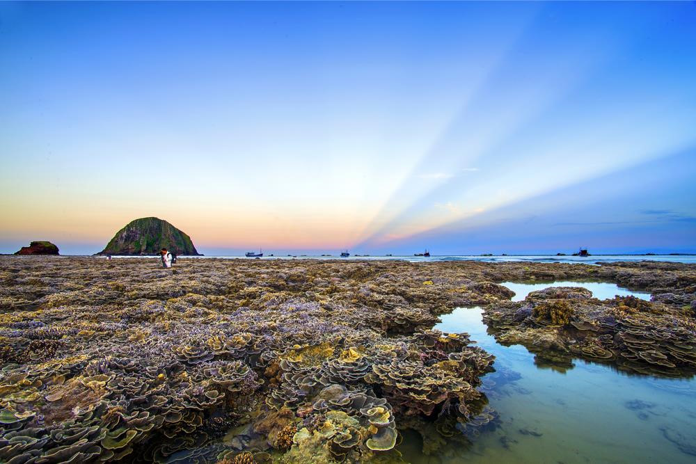 Ngắm[-]san[-]hô[-]trên[-]cạn[-]đẹp[-]ảo[-]diệu[-]tại[-]Phú[-]Yên